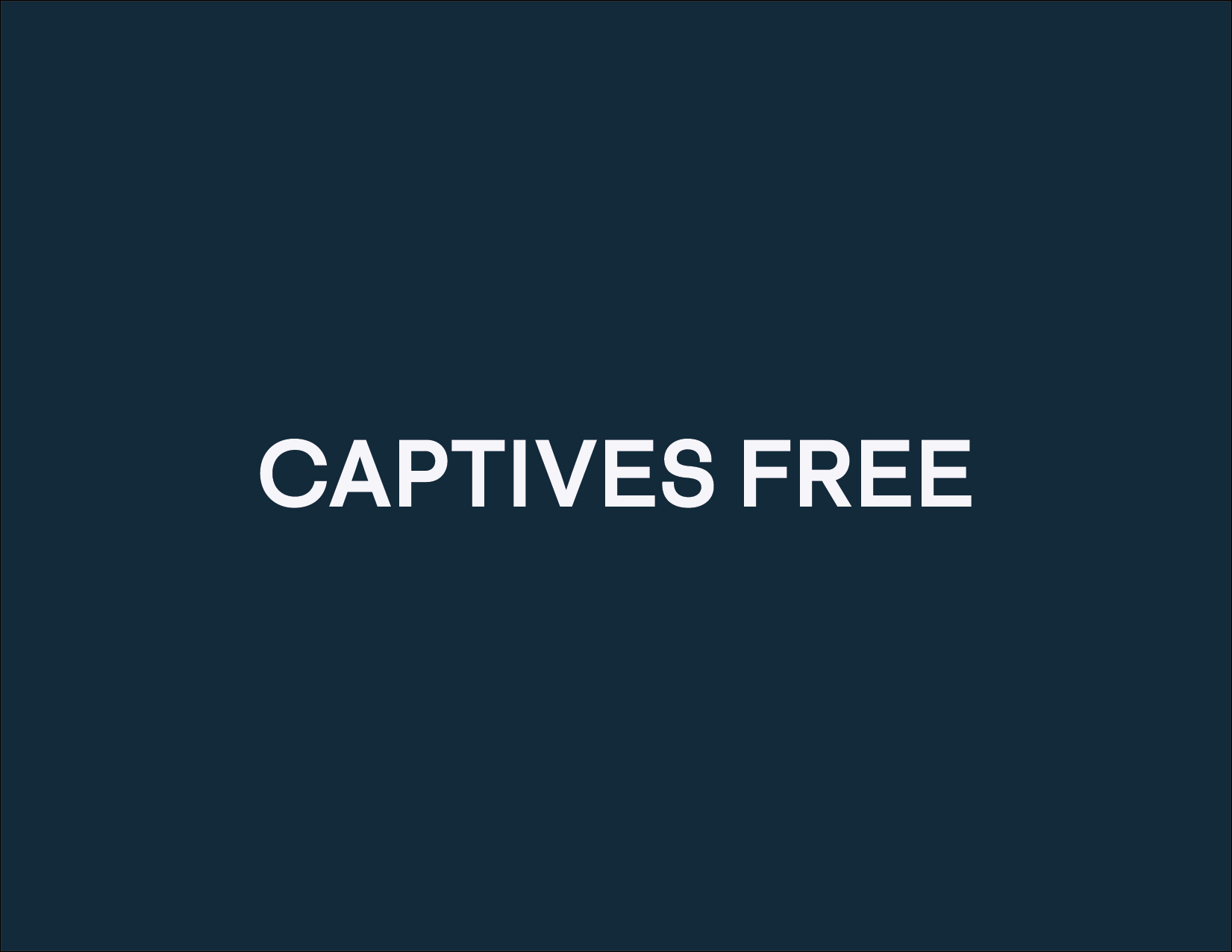 Care Groups – Captives Free