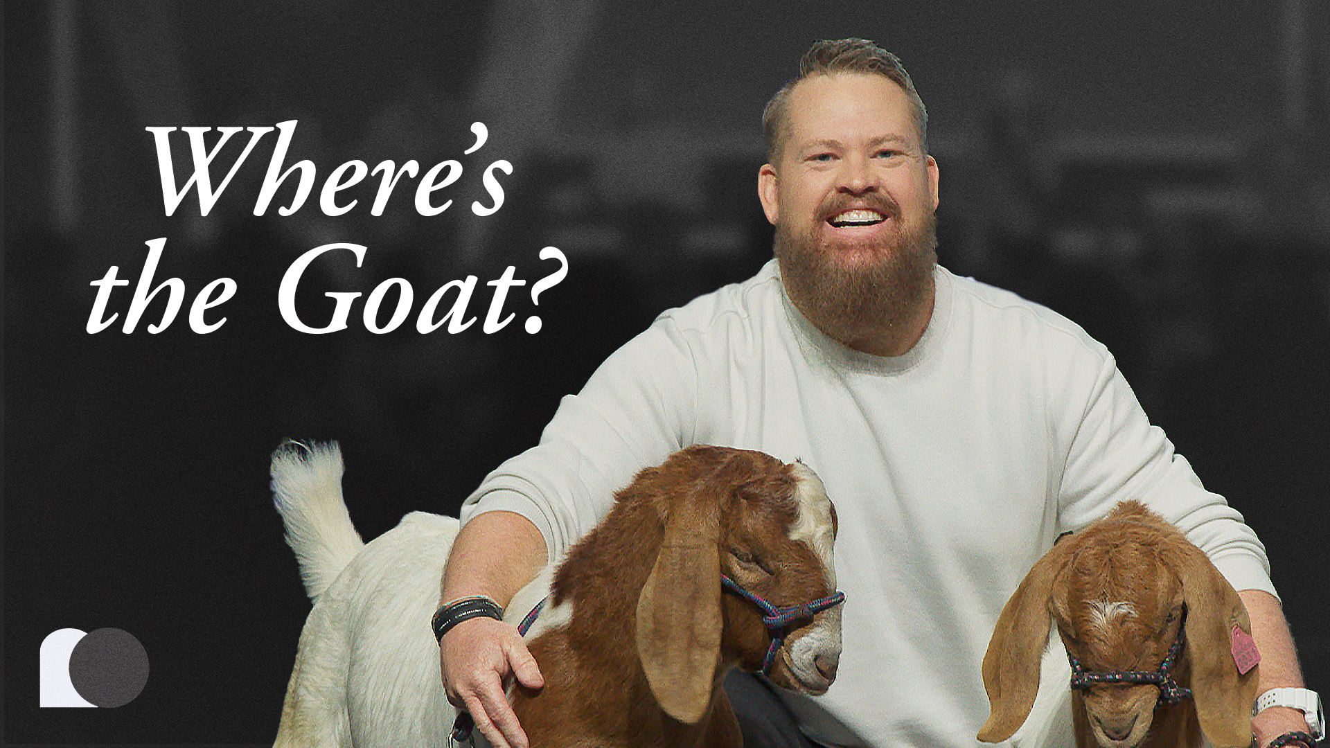 Where's the Goat?